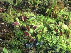 -国家植物园南园