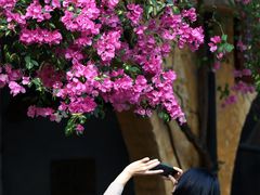 -广州市紫泥堂文化创意园景区