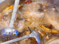 -千岛蚝高压锅生蚝·人参火锅(白云万达店)