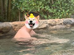 -厦门日月谷温泉渡假村