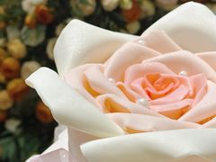 -卷心卷意·轻甜蛋糕(新光天地店)