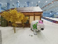 -广州热雪奇迹