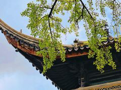 -西园寺素食(西园弄戒幢律寺店)