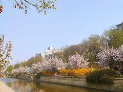 -元大都城垣遗址公园