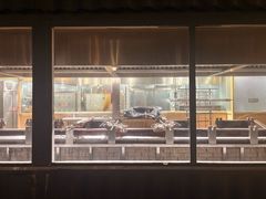 -蒙古大营(朝阳公园店)