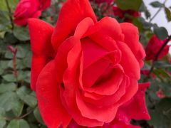 -雪浪山卡丁车俱乐部