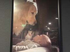 -百好乐宠物友好餐厅(朝外大街店)