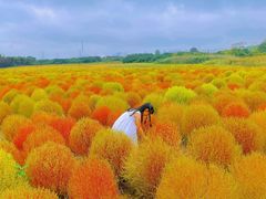 -映月湖中央公园