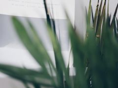 -隹木咖啡馆(宝龙广场店)