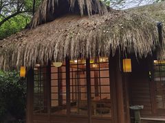 -中国茶叶博物馆(双峰馆区)