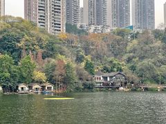 -重庆彩云湖湿地公园