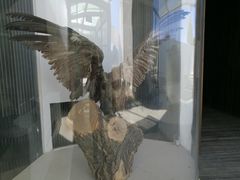 -野鸭湖国家湿地公园