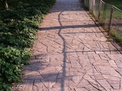 iphone_upload_pic-泰丰公园