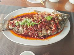 -微山岛春天里酒家
