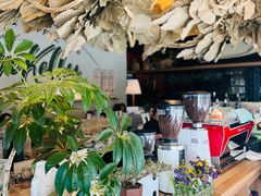 -翠贝卡&Mama Kelly Brunch Coffee(河西店)