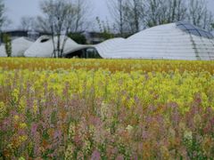 -中国天府农业博览园