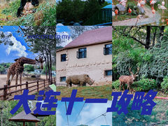 -大连森林动物园