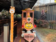 -黄海国家森林公园