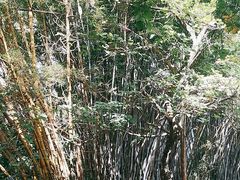 -水濂山乐民游艺园