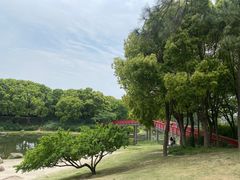 -美兰湖景区