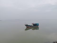 -大湾区中央湿地公园-十九涌