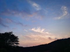 -武陵山森林公园