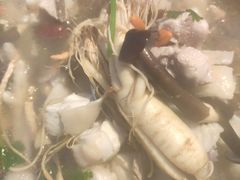 -千岛蚝高压锅生蚝·人参火锅(白云万达店)