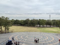 -上海长江河口科技馆