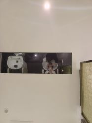 -丝域养发馆
