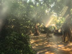 -碧水湾温泉