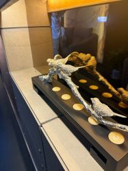 -苏亚医美·高端注射明星整形机构