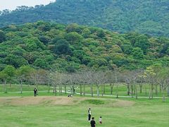 -风云岭森林公园