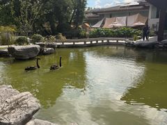 -扬州瘦西湖温泉