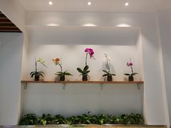 -憨老頭凉皮融合简餐(双山里店)