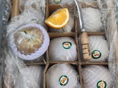 -西郊国际农产品交易中心