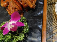 -大鸽饭(马王堆店)