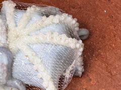 -厦门市鼓浪屿风景名胜区-天主教堂