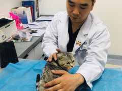 -萌兽医馆·绝育·24小时内科·宠物医院(德胜店)