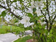-花开海上生态园