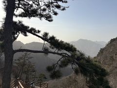 -沂蒙山旅游区云蒙景区(蒙山国家森林公园)