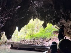 -怀托摩萤火虫洞