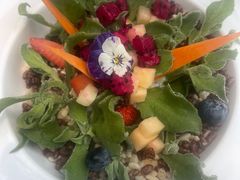 -唐猫庭院·千年陕菜(大唐不夜城店)