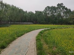 -北坞公园
