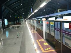 -国际港务区(地铁站)