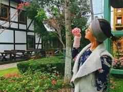-金山农民画村-枫泾波兰倒置屋