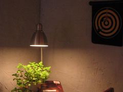 -Babycat私家御饼屋(龙头路一店)