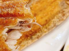 舌头鱼-四合院海鲜小厨(旱西关店)