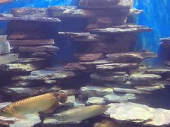 -多彩贵州城极地海洋世界