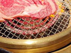 -谷牛日式烤肉(宝山U天地店)