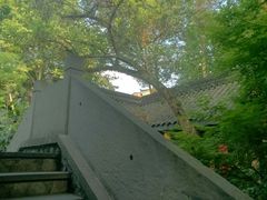 -鱼桥巷·美学川菜